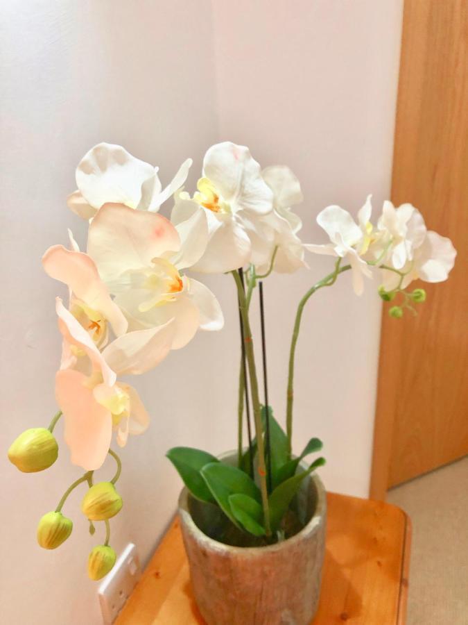 Bed and Breakfast Laurels Felsted Экстерьер фото