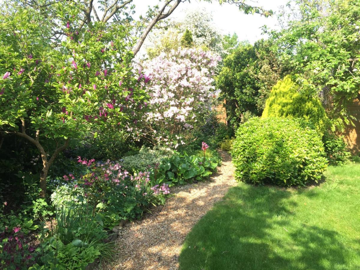 Bed and Breakfast Laurels Felsted Экстерьер фото